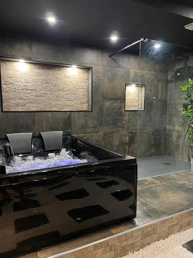 Spa & Love Exotic - Balneo - Sauna - Parking Clermont-Ferrand Apartment