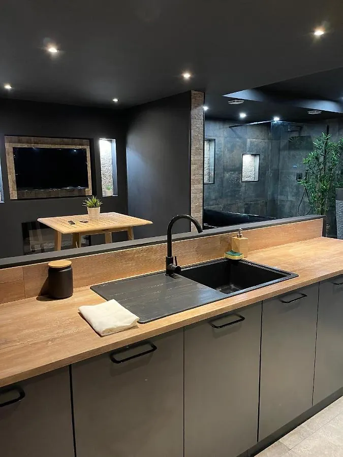 Spa & Love Exotic - Balneo - Sauna - Parking Clermont-Ferrand Apartment